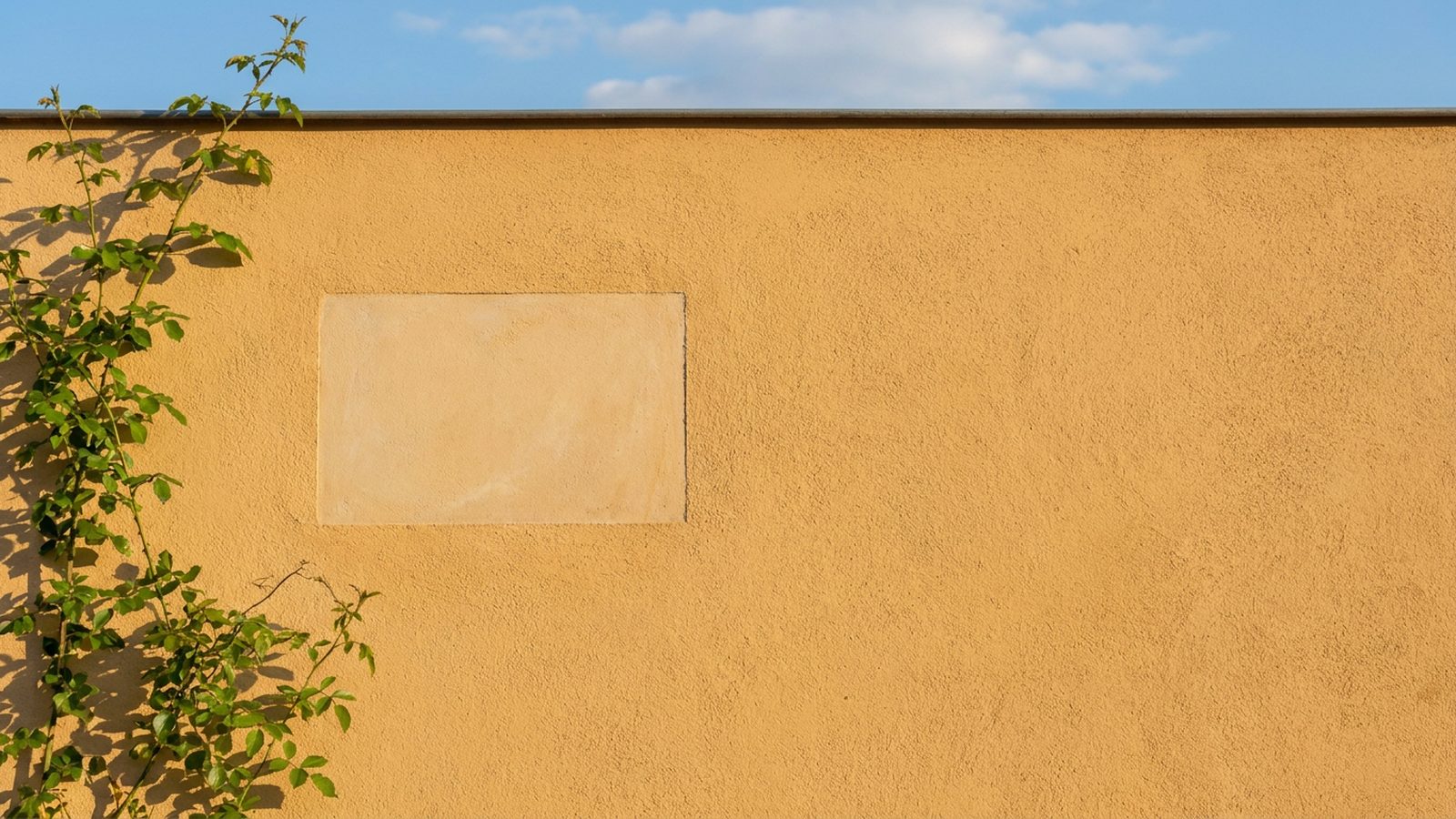 Frisch verputzte Fassade mit blankem Türschild und geschnittener Hecke